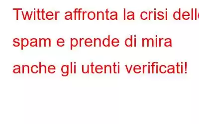 Twitter affronta la crisi dello spam e prende di mira anche gli utenti verificati!