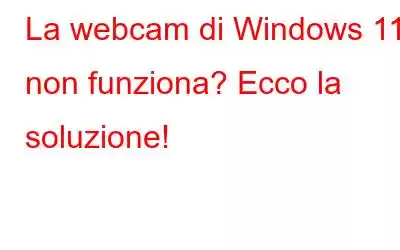 La webcam di Windows 11 non funziona? Ecco la soluzione!