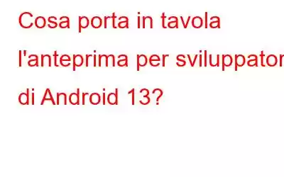 Cosa porta in tavola l'anteprima per sviluppatori di Android 13?