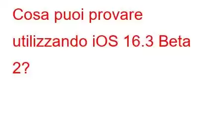 Cosa puoi provare utilizzando iOS 16.3 Beta 2?