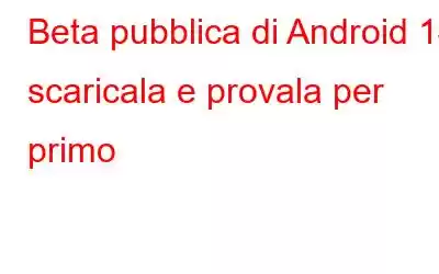 Beta pubblica di Android 14: scaricala e provala per primo