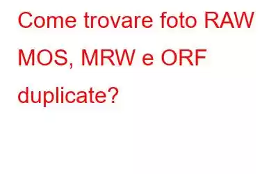 Come trovare foto RAW MOS, MRW e ORF duplicate?