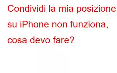 Condividi la mia posizione su iPhone non funziona, cosa devo fare?