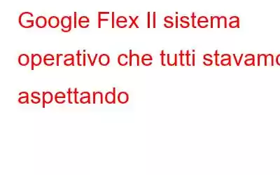 Google Flex Il sistema operativo che tutti stavamo aspettando