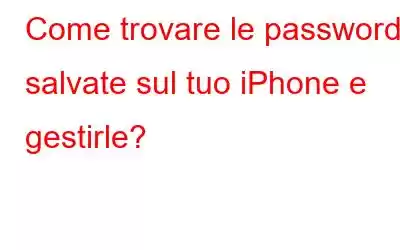 Come trovare le password salvate sul tuo iPhone e gestirle?