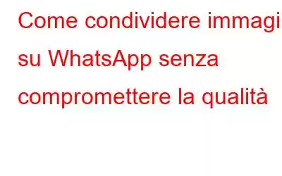 Come condividere immagini su WhatsApp senza compromettere la qualità