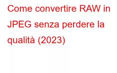 Come convertire RAW in JPEG senza perdere la qualità (2023)