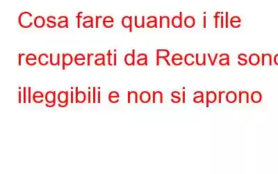 Cosa fare quando i file recuperati da Recuva sono illeggibili e non si aprono