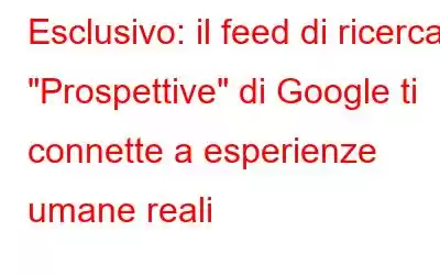 Esclusivo: il feed di ricerca 