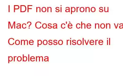 I PDF non si aprono su Mac? Cosa c'è che non va? Come posso risolvere il problema