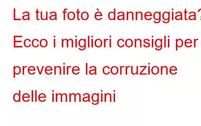 La tua foto è danneggiata? Ecco i migliori consigli per prevenire la corruzione delle immagini