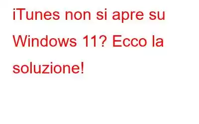 iTunes non si apre su Windows 11? Ecco la soluzione!