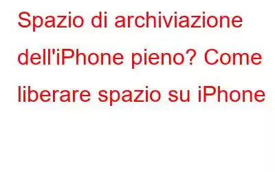 Spazio di archiviazione dell'iPhone pieno? Come liberare spazio su iPhone