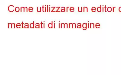 Come utilizzare un editor di metadati di immagine