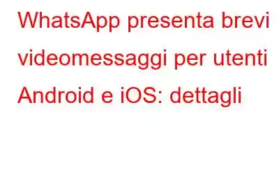 WhatsApp presenta brevi videomessaggi per utenti Android e iOS: dettagli