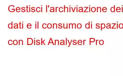 Gestisci l'archiviazione dei dati e il consumo di spazio con Disk Analyser Pro