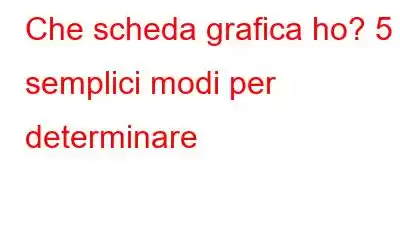 Che scheda grafica ho? 5 semplici modi per determinare