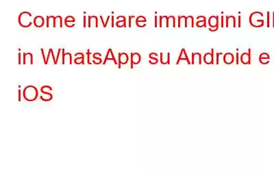 Come inviare immagini GIF in WhatsApp su Android e iOS