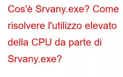 Cos'è Srvany.exe? Come risolvere l'utilizzo elevato della CPU da parte di Srvany.exe?