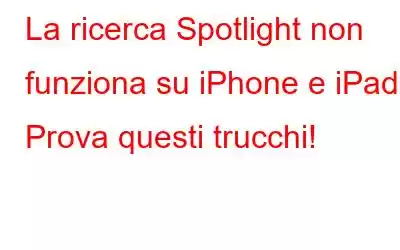 La ricerca Spotlight non funziona su iPhone e iPad? Prova questi trucchi!