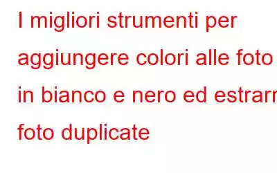 I migliori strumenti per aggiungere colori alle foto in bianco e nero ed estrarre foto duplicate