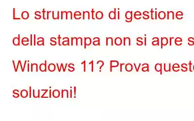 Lo strumento di gestione della stampa non si apre su Windows 11? Prova queste soluzioni!