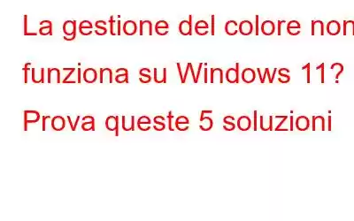 La gestione del colore non funziona su Windows 11? Prova queste 5 soluzioni