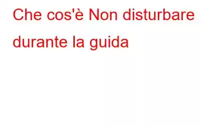 Che cos'è Non disturbare durante la guida