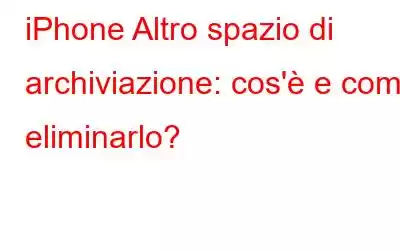 iPhone Altro spazio di archiviazione: cos'è e come eliminarlo?