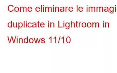 Come eliminare le immagini duplicate in Lightroom in Windows 11/10