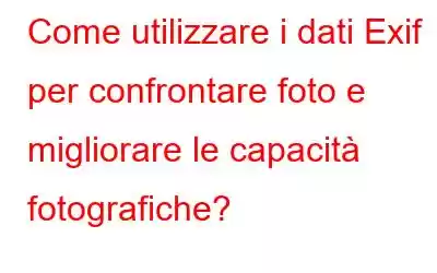 Come utilizzare i dati Exif per confrontare foto e migliorare le capacità fotografiche?