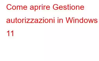 Come aprire Gestione autorizzazioni in Windows 11