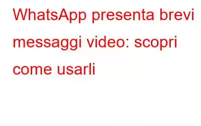 WhatsApp presenta brevi messaggi video: scopri come usarli