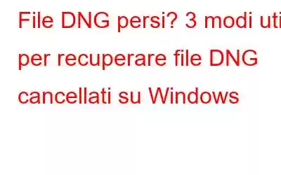 File DNG persi? 3 modi utili per recuperare file DNG cancellati su Windows