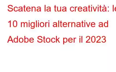 Scatena la tua creatività: le 10 migliori alternative ad Adobe Stock per il 2023